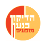 עיצוב ללא שם - 2023-11-22T140357.239